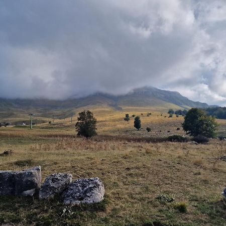 La Tana Del Capriolo Apartamento Prati di Tivo Exterior foto