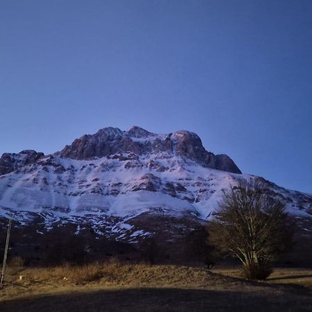 La Tana Del Capriolo Apartamento Prati di Tivo Exterior foto