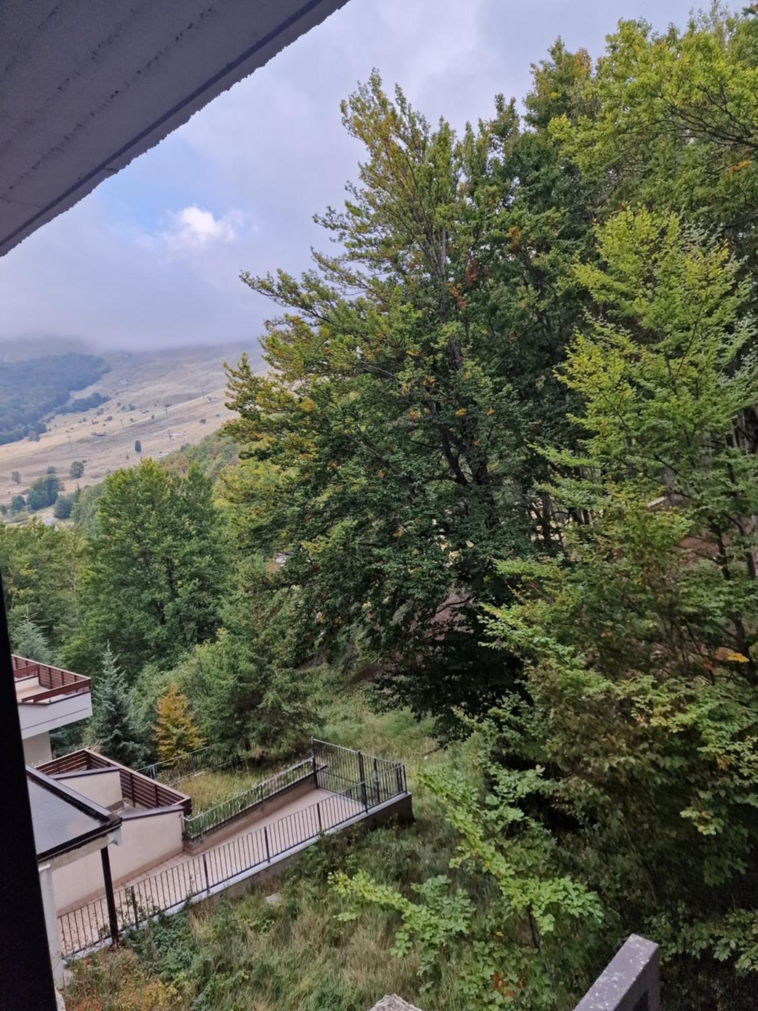 La Tana Del Capriolo Apartamento Prati di Tivo Exterior foto