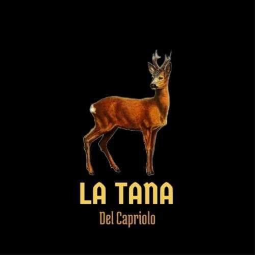 La Tana Del Capriolo Apartamento Prati di Tivo Exterior foto