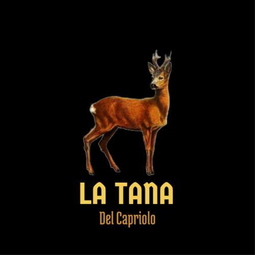 La Tana Del Capriolo Apartamento Prati di Tivo Exterior foto